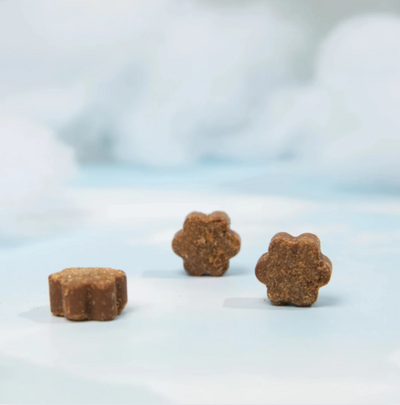 Dog is Human: Omega + Multivitamin Chew